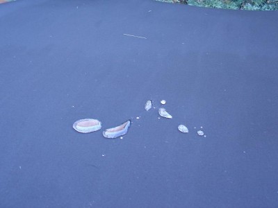 Imagen 010.jpg