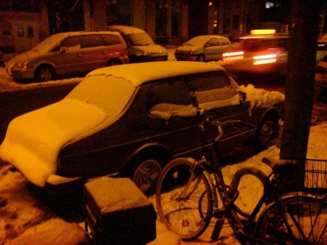 DSC01923 2.JPG
