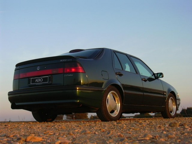 DSCN2669 (Large).JPG