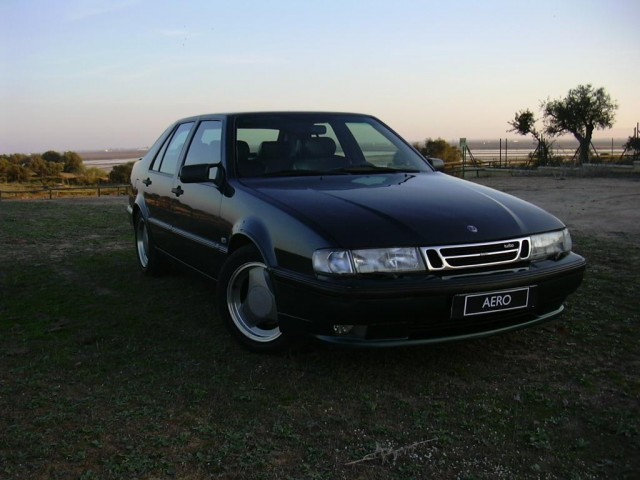 DSCN2646 (Large).JPG