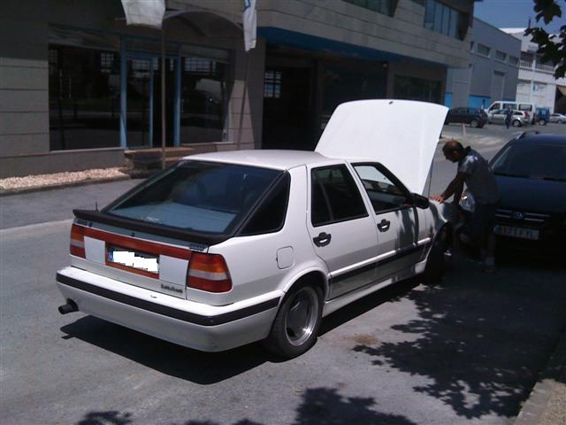 9000 Mirlow White.JPG