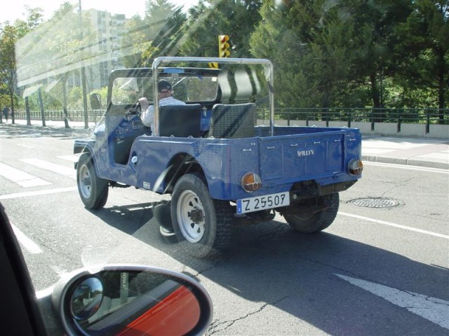 DSC00394 (Medium).JPG